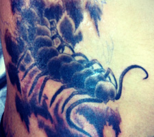 ワンポイント　刺青　彫とら